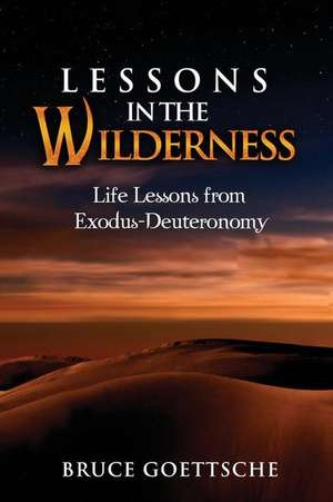 Lessons in the Wilderness de Bruce Goettsche