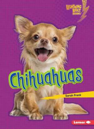 Chihuahuas de Sarah Frank