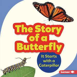 The Story of a Butterfly de Shannon Zemlicka