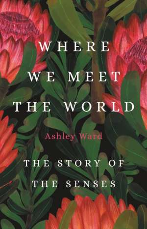 Where We Meet the World de Ashley Ward