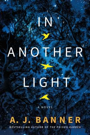 In Another Light de A J Banner