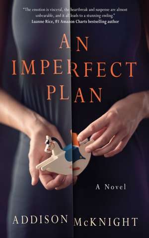 An Imperfect Plan de Addison McKnight