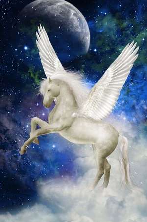 Pegasus in a Moonlit Sky Fantasy Illustration Journal de Cs Creations