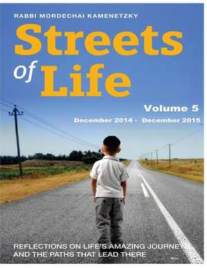 Streets of Life Collection Vol. 5 - 2015 de Kamenetzky, Mordechai