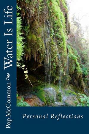 Water Is Life de Pop McCommon