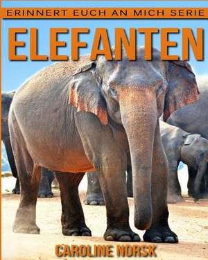 Elefanten de Caroline Norsk
