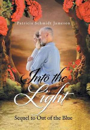 Into the Light de Patricia Schmidt Jameson