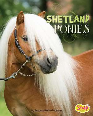 Shetland Ponies de Amanda Parise-Peterson