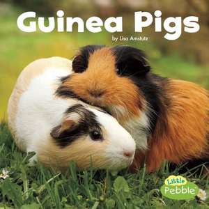 Guinea Pigs de Lisa J. Amstutz