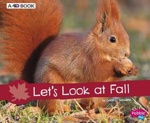 Let's Look at Fall: A 4D Book de Sarah L. Schuette