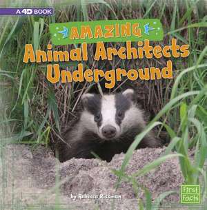 Amazing Animal Architects Underground de Rebecca Rissman