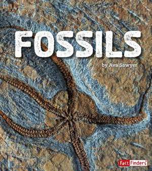 Fossils de Ava Sawyer