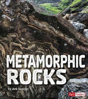 Metamorphic Rocks de Sawyer, Ava