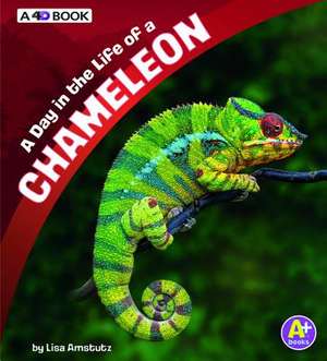 A Day in the Life of a Chameleon de Lisa J. Amstutz