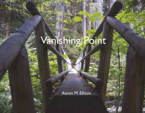 Vanishing Point: Volume 1 de Aaron Ellison