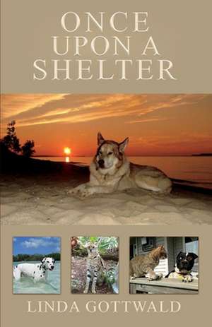 Once Upon a Shelter de Linda Gottwald