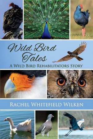 Wild Bird Tales: A Wild Bird Rehabilitator's Story de Rachel Whitefield Wilken