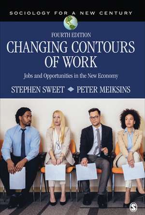 Changing Contours of Work: Jobs and Opportunities in the New Economy de Stephen A. Sweet