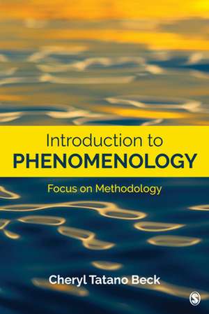 Introduction to Phenomenology: Focus on Methodology de Cheryl Tatano Beck