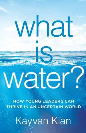 What Is Water? de Kayvan Kian