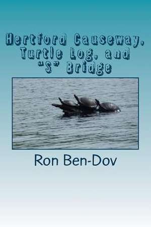 Hertford Causeway, Turtle Log, and S Bridge de Ron J. Ben-Dov