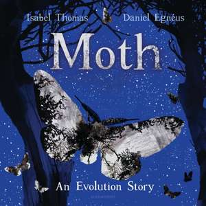 Thomas, I: Moth