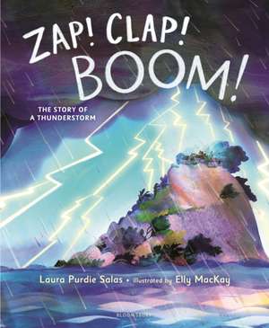 Zap! Clap! Boom! de Laura Purdie Salas