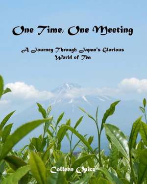 One Time, One Meeting de Opitz, Colleen