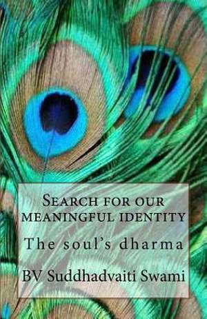 Search for Our Meaningful Identity de Bouchie de Belle, Mr Guy