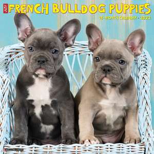 FRENCH BULLDOG PUPPIES 2022 WALL CALENDA de Willow Creek Press