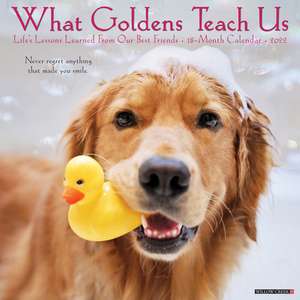 WHAT GOLDENS TEACH US 2022 WALL CALENDAR de Willow Creek Press