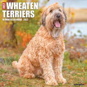 WHEATON TERRIERS 2022 WALL CALENDAR de Willow Creek Press