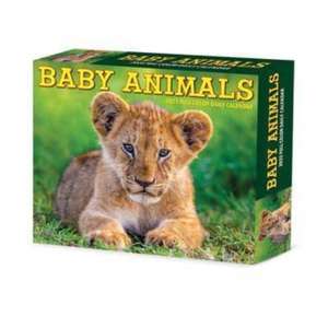 Baby Animals 2025 6.2 X 5.4 Box Calendar de Willow Creek Press