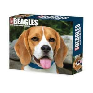 Beagles 2025 6.2 X 5.4 Box Calendar de Willow Creek Press