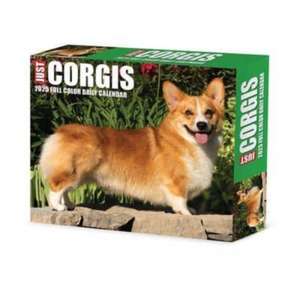 Corgis 2025 6.2 X 5.4 Box Calendar de Willow Creek Press