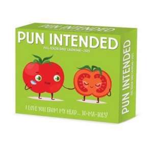 Pun Intended 2025 6.2 X 5.4 Box Calendar de Willow Creek Press