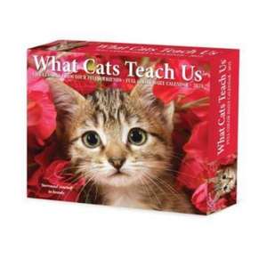 What Cats Teach Us 2025 6.2 X 5.4 Box Calendar de Willow Creek Press