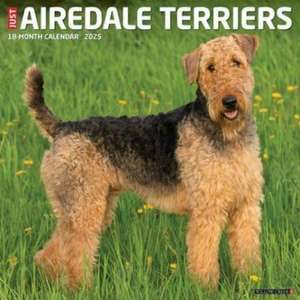 Just Airedale Terriers 2025 12 X 12 Wall Calendar de Willow Creek Press