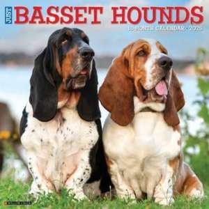 Just Basset Hounds 2025 12 X 12 Wall Calendar de Willow Creek Press