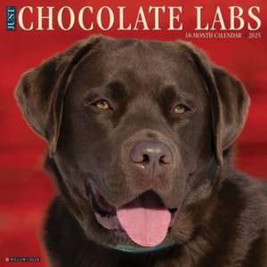 Just Chocolate Labs 2025 12 X 12 Wall Calendar de Willow Creek Press