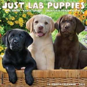 Just Lab Puppies 2025 12 X 12 Wall Calendar de Willow Creek Press