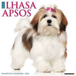 Just Lhasa Apsos 2025 12 X 12 Wall Calendar de Willow Creek Press