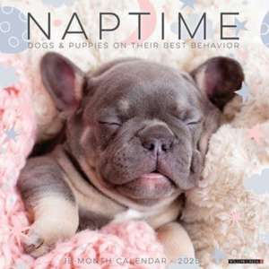 Naptime (Dogs & Puppies) 2025 12 X 12 Wall Calendar de Willow Creek Press