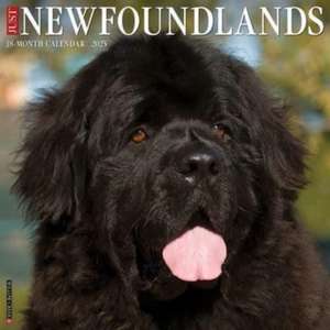 Just Newfoundlands 2025 12 X 12 Wall Calendar de Willow Creek Press