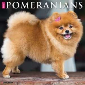 Just Pomeranians 2025 12 X 12 Wall Calendar de Willow Creek Press