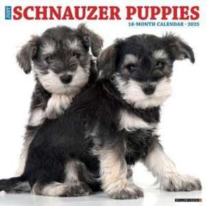 Just Schnauzer Puppies 2025 12 X 12 Wall Calendar de Willow Creek Press