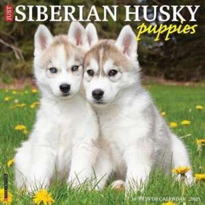 Just Siberian Husky Puppies 2025 12 X 12 Wall Calendar de Willow Creek Press