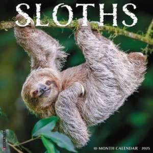 Sloths 2025 12 X 12 Wall Calendar de Willow Creek Press