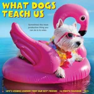 What Dogs Teach Us 2025 12 X 12 Wall Calendar de Willow Creek Press