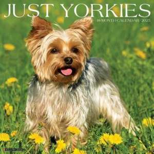 Just Yorkies 2025 12 X 12 Wall Calendar de Willow Creek Press